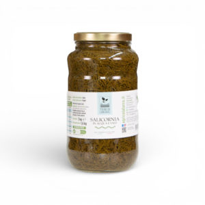 Salicornia in Acqua e Sale - 3 kg