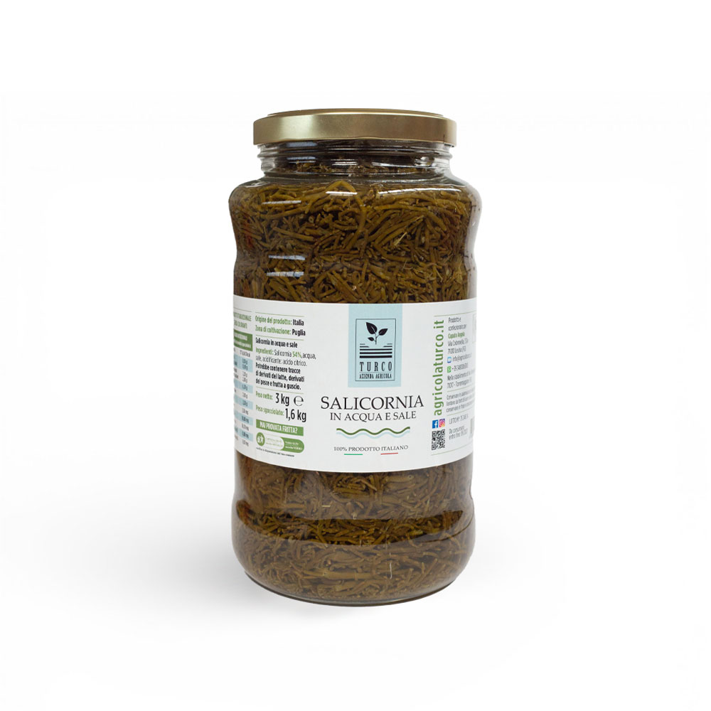 Salicornia in Acqua e Sale - 3 kg